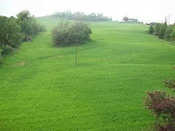 Bassani 3* Castrocaro Terme